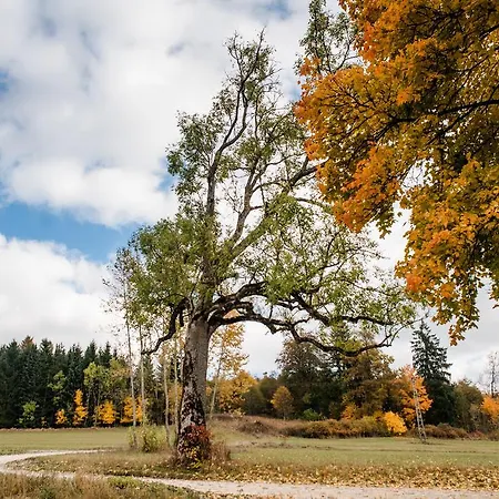 Restaurant & Winter Gomadingen